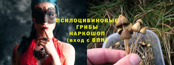 тгк Баксан